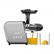 250W slowjuicer extractor voor groenten en fruit - koude pers elektrische blender voor verse bietensap