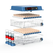 Compacte eierdoos van 256 eieren incubator met automatische wateraanvulling en nauwkeurige temperatuurregeling