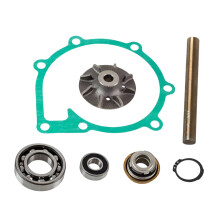 Volvo Penta Rohwasser - Seekreiselpumpen - Reparatursatz für Modelle 876794 & 876544 - RECMAR REC876794 SLP WRK 794 kompatibel