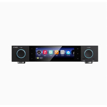 FiiO S15 Desktop Hi-Res Digitale Afspelen & Decodering Alles-in-één DSD Muziekspeler met Bluetooth Platenspeler
