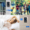 Wireless Door Bells 1000ft Waterproof Long Range Plug in Home Cordless 5