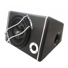 10-inch krachtige autoluidspreker met actieve surround sound en diepe bas - 12V speakersysteem