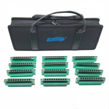 Easttop Major Blues - Harmonika - Set - 12 - Ton - Diaton - Harmonikas für Erwachsene, Anfänger & Kinder (Töne: C, D, E, F, G, A, B, Bb, Ab)