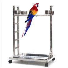 Deluxe Stainless Steel Parrot Standing Cage - 7 Unique Styles for Optimal Avian Comfort