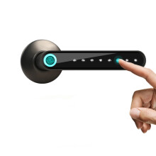 Intelligenter schlüsselloser Zugang: Tuya - fähiges rahmenloses digitales Türschloss mit elektrischem Zylindergriff