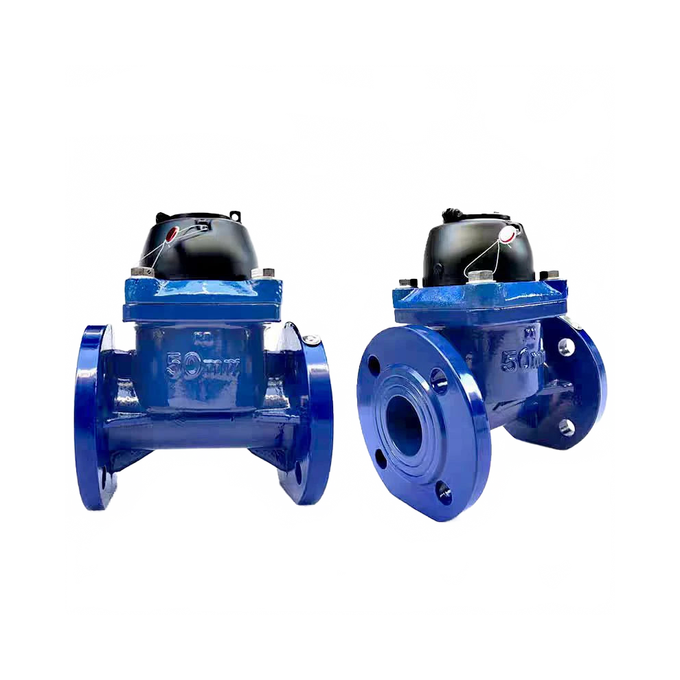Detachable Dn150 Flange Woltman Hot Water Meter With Removable Dry Rotor 7445024954916