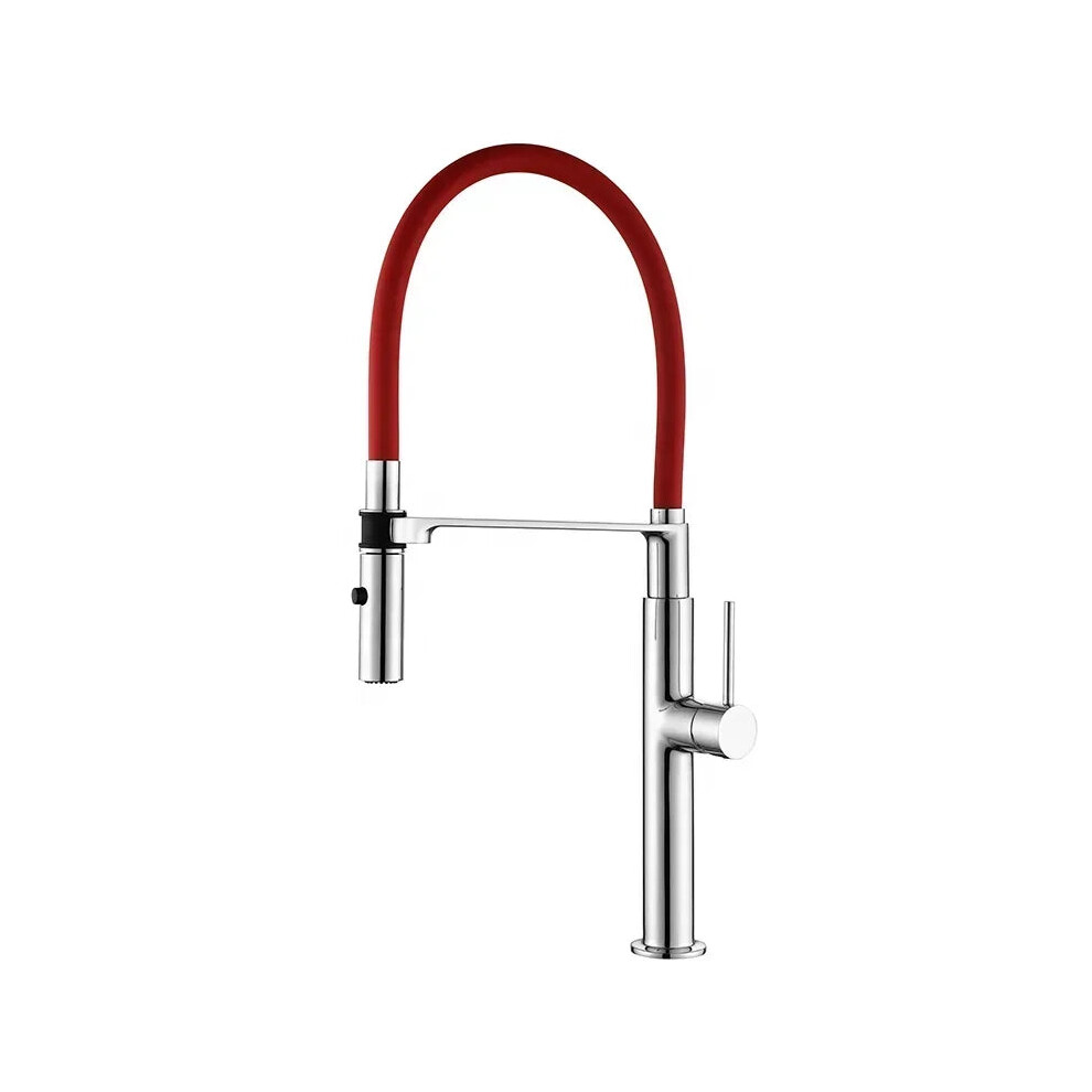 Versatile Pre-Rinse Spray Kitchen Sink Faucet For Commercial Kitchens 744759845665