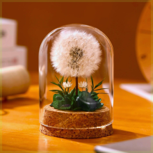 Pissenlit naturel séché, marguerites naturelles séchées et herbe préservée, fleurs éternelles, couvercle en verre, centres de table cadeaux
