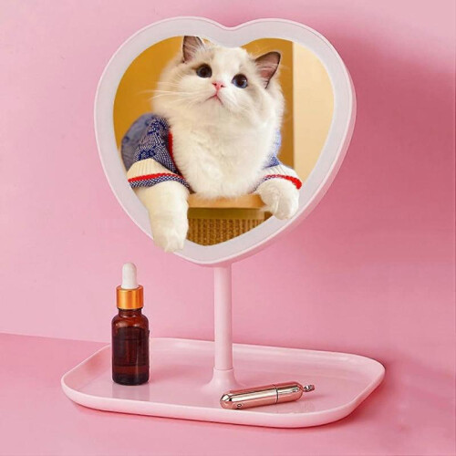 Heart Makeup Vanity Mirror with LED Lights,Pink,Three Co EVW 1