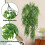 Hanging Artificial Plants for Wall Outdoor Decoration (4 Pack) 3