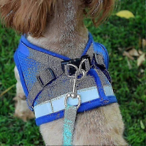 (L, Blue) Escape Proof Cat Harness for Secure and Comfortable Outdoor Adventures 2