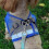 (S, Blue) Escape Proof Cat Harness for Secure and Comfortable Outdoor Adventures 3