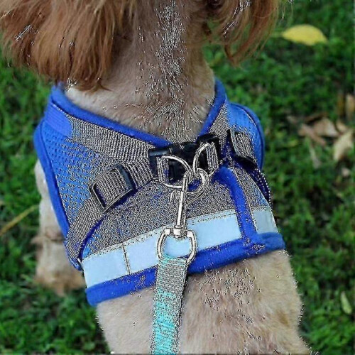 (S, Blue) Escape Proof Cat Harness for Secure and Comfortable Outdoor Adventures 2