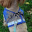 (M, Blue) Escape Proof Cat Harness for Secure and Comfortable Outdoor Adventures 3