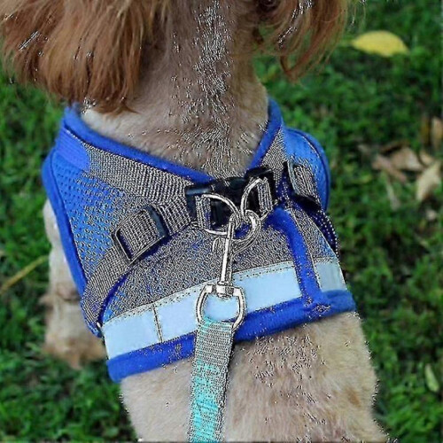 (L, Gray) Escape Proof Cat Harness for Secure and Comfortable Outdoor Adventures 2