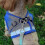 (M, Gray) Escape Proof Cat Harness for Secure and Comfortable Outdoor Adventures 3