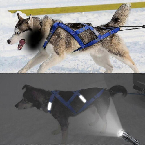 (M, Blue) Dog Sledding Weight Pulling Harness Reflective for Pets Training 1