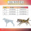 (M, Yellow) Dog Sledding Weight Pulling Harness Reflective for Pets Training 5
