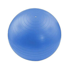 (55cm, blue) Pregnancy Birthing Ball, Yoga Exercise Birth Ball Chair For Delivery & Training & Fitness