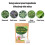 10pcs Bags Dust Mites Killer Mite Eliminator Nature for Bed Sheet Sofa 8