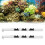 2 Stück verstellbare Acryl-Aquarium-Lichthalter 13