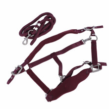 Horse Halter Set Prevent Rubbing Adjustable Horse Training Halter with 2m Horse Leash for Training Daily Wine Red M