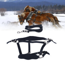 Horse Halter Set Prevent Rubbing Adjustable Horse Training Halter with 2m Horse Leash for Training Daily Navy Blue S