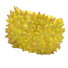 Kleiner Durian-Harzblumentopf für Sukkulenten, Minigarten oder Schreibtischdekoration