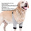 Hundellenbogenstütze aus dehnbarem Baumwoll-Polyester, Größe L, grau 7
