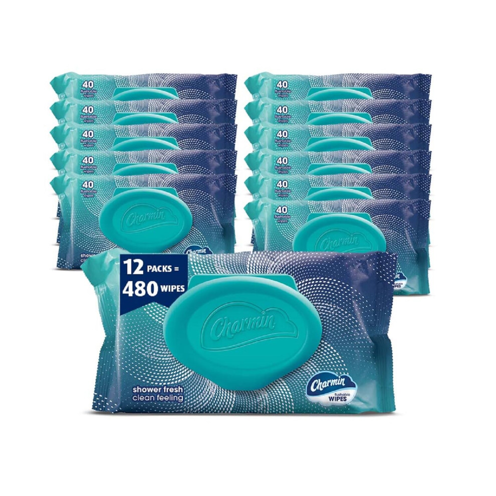 Charmin Flushable Wipes 480 Total Wipes (12 Packs of 40)