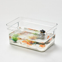 DIY-Fischtank kleines Desktop-Aquarium aus klarem PET