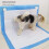 4 Stück Potty-Pad-Halter weiß, starke Magnete 3