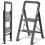 KINgRAcK Step Ladder  2 Steps  Folding Step Ladder with Handrail  Non- 1