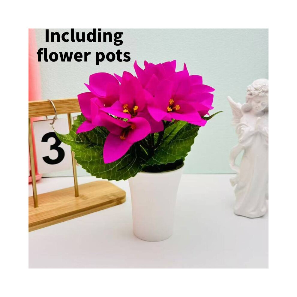 (Rose Red) Choisy Glabra Bougainvillea Bonsai Construction Wedding Display Decorations-image-OPC-PHQB7S6-NEW