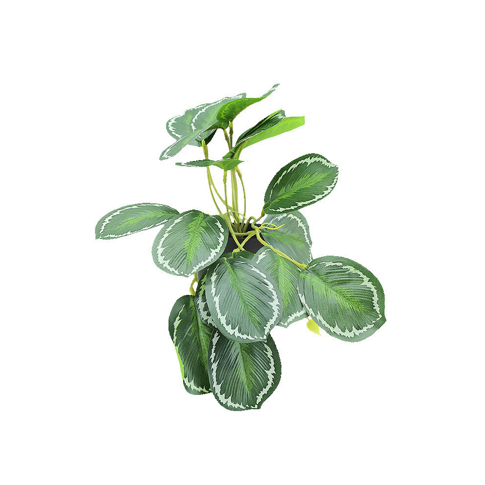 (Bright Vein Pot) Shamrock Makoyana Goeppertia Artificial Plant Wall Backgrounds Home Office For-image-OPC-PHQB86G-NEW