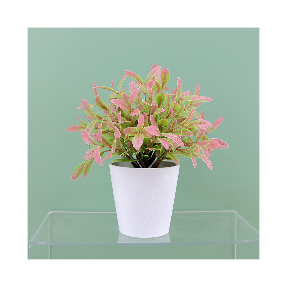 (Pink) Sinica Buxus Rehd Eucalyptus Robusta Potted Plant Faux Indoor Home For Decor-image-OPC-PHQBB76-NEW