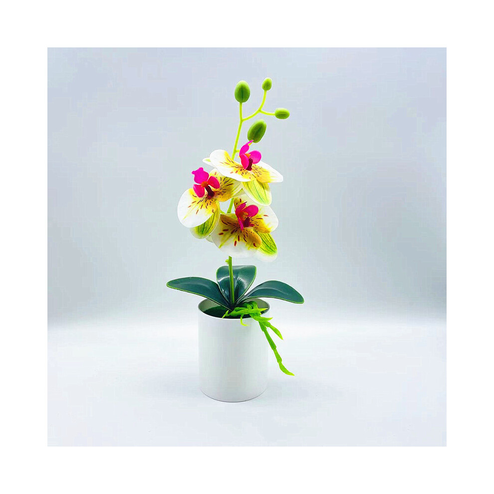 (Green White ) Faux With Phalaenopsi Lightweight Material For Room Decor Plastic Pvc Durable-image-OPC-PHQBG6K-NEW