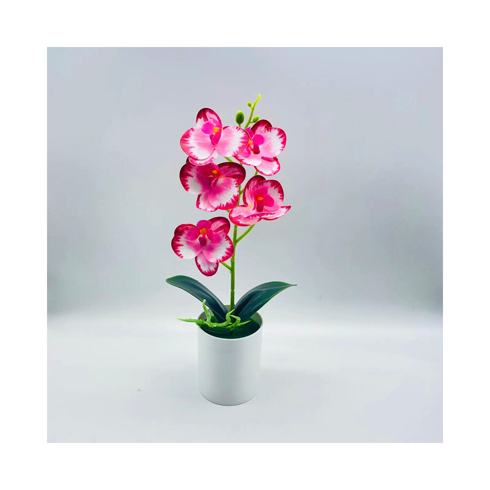 (Deep Pink) Aphrodite Artificial Phalaenopsis Potted Plant With Creative Bedroom Design For-image-OPC-PHQBG9K-NEW