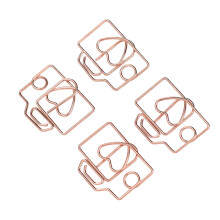 80 Stück kameraförmige Clips aus Eisen in Roségold-Box