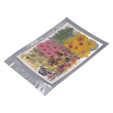 100 Stück Getrocknete Pressed Flowers, 13 Sorten mit Aufklebern für Bastelarbeiten, 19x27 cm