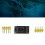MAX30205 Körpertemperatursensor-Modul, I2C, 2,7-3,3V 16