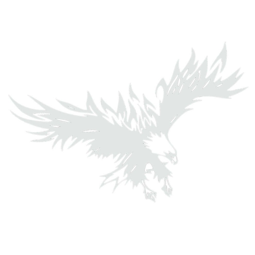 Eagles Car Decal Diy Styling Decorative Eagle Graphic Car Sticker Universal Auto Body Hood Decal Accessories White 4211313831182