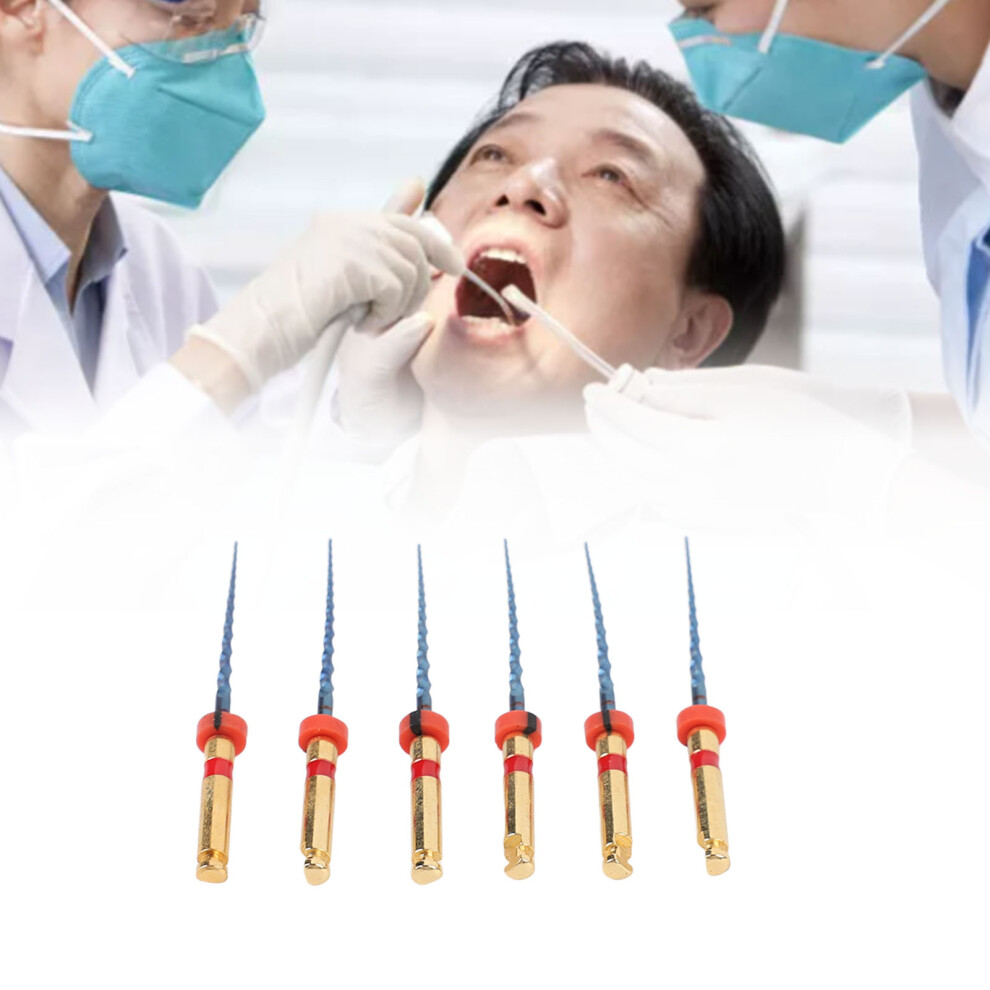 6pcs Dental Endo Canal Files Large Taper Needle Tip Flexible Endodontic Canal Unblock Files with Storage Box F2 25mm
