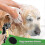 Green Dog Shower Head - Shower Your Dog with Ease 4