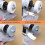 Buffing Polishing Wheel Kit 3 Inch,for Bench Buffer/Bench Grinder,Buffing Wheel Hole 3/8 Inch,Drill 2