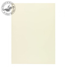 Blake Premium Business Paper Oyster Wove A4 297x210mm 120gsm (Pack 500)