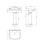 590mm Basin & Pedestal (2 Tap Hole) - VBAS011 3