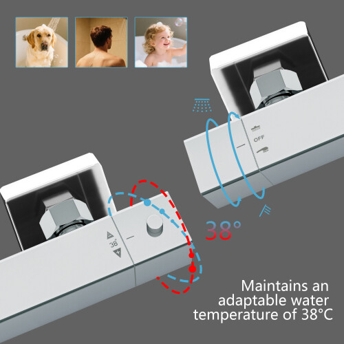 AICA Bathroom Thermostatic Exposed Twin-Head Square Mixer Shower Set 2