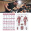 Widerstandsband-Training Poster Ganzkörper Papier 13
