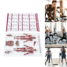Widerstandsband-Training Poster Ganzkörper Papier